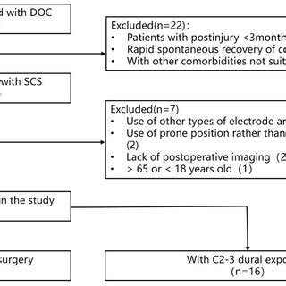 The Study Flowchart Abbreviations Doc Disorders Of Consciousness