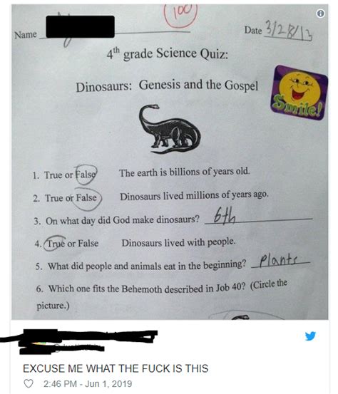 Sumimasen Nani The Fuck R Awfuleverything