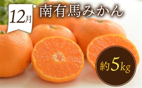 【6回定期便 偶数月コース】フルーツ定期便 旬のフルーツをセット ハウスびわ メロン ぶどう 巨峰 みかん など 定期便 旬 フルーツ