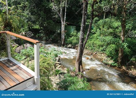 Waterfall and Tree in the Forest and House Near Waterfall or River Stock Image - Image of river ...