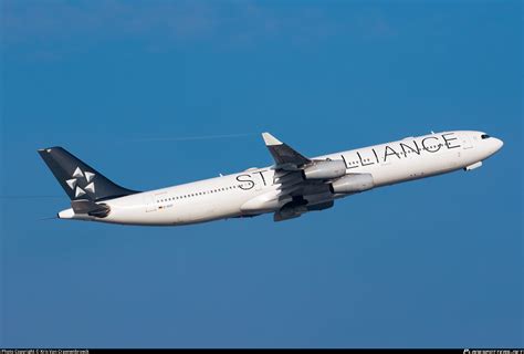 D AIGP Lufthansa CityLine Airbus A340 313 Photo By Kris Van