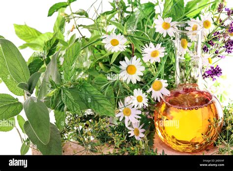 homeopathy with herbs and medicinal plants Stock Photo - Alamy