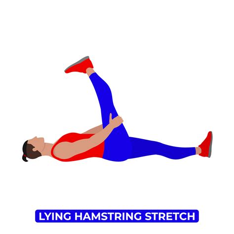 Vector Man Doing Lying Supine Hamstring Stretch An Educational