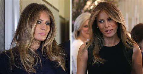 Melania Trump Did Very Sleazy Porn Sensational Claim Made On Live TV Daily Star