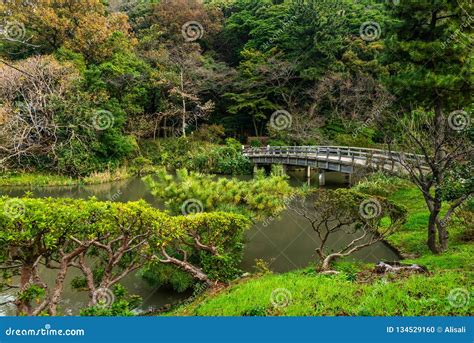 Sankeien Garden Yokohama Japan Cherry Blossoms Royalty-Free Stock ...