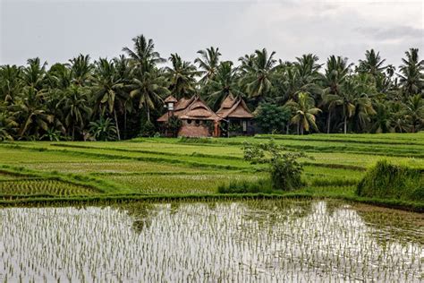 7 Reka Bentuk Rumah Kampung Moden Yang Boleh Dicuba