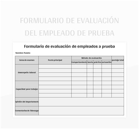 Plantilla De Excel Formulario De Evaluaci N Del Empleado De Prueba Y