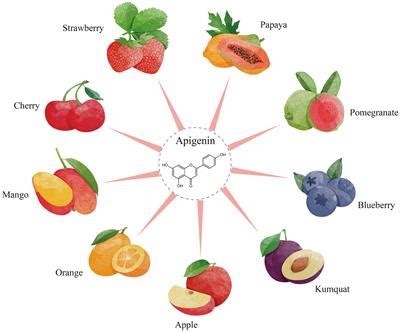 Frontiers Recent Advancement In Bioeffect Metabolism Stability And