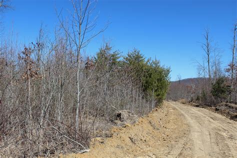 Owner Financed TN Land With A Small Creek GCE TR84 CA LandStruck