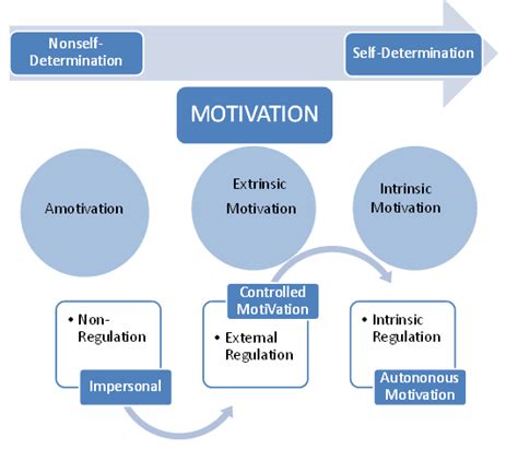 The Self Determined Continuum Of Motivation Scale Of Motivation Download Scientific Diagram