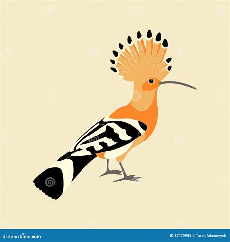 Hoopoe Vector