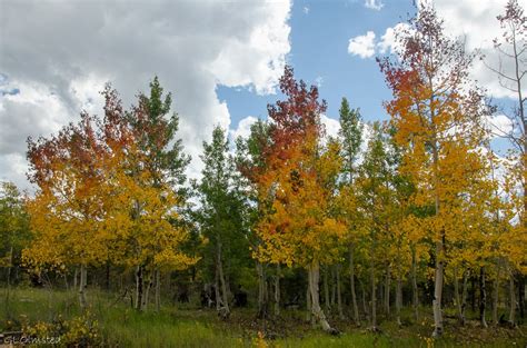 Kaibab National Forest Archives - Geogypsy