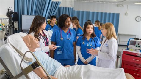 Undergraduate Programs School Of Nursing Suny University At Buffalo