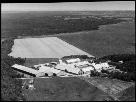 Danmark Set Fra Luften Egebaksandevej 18 Egebak Sande 1961 Det