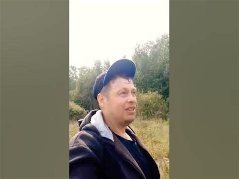 Осторожно, - дикие Животные ! - YouTube