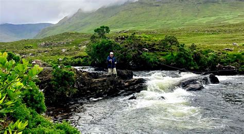 Where to fish for Irish Salmon and Sea Trout | Fishing in Ireland ...