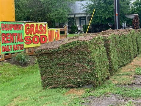 St Augustine Grass Sod Sales Install Delivery Order Now Pickup