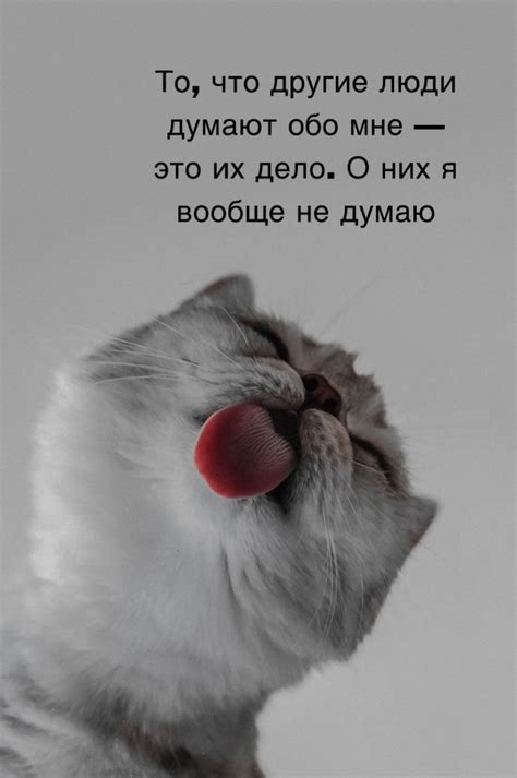 Картинки с надписями. То, что другие люди думают обо мне — это их дело..
