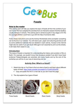 Free Printable Fossils Worksheets for Teaching & Learning