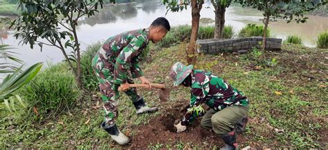 Sektor 5 Citarum Harum Sub 2 Kembali Melakukan Perawatan Pohon Hasil