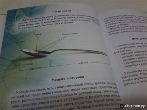 Книга: Логопедический массаж ложками - Ольга Крупенчук. Купить книгу ...