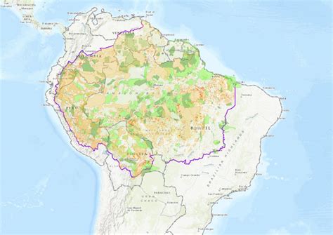 Amazon Rainforest Physical Map