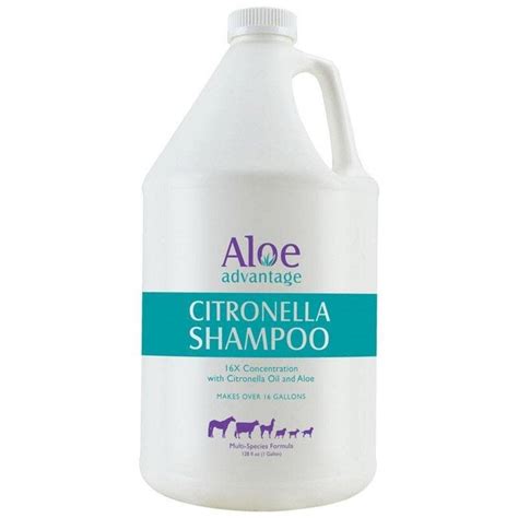 Aloe Advantage Citronella Shampoo Gallon Shampoo Citronella