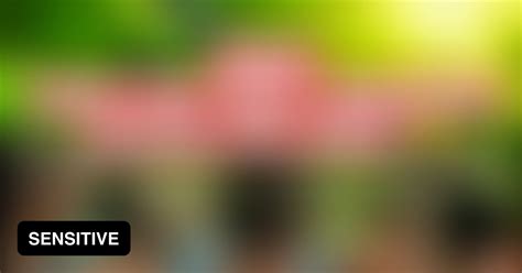 Hardcore Military Training GAG