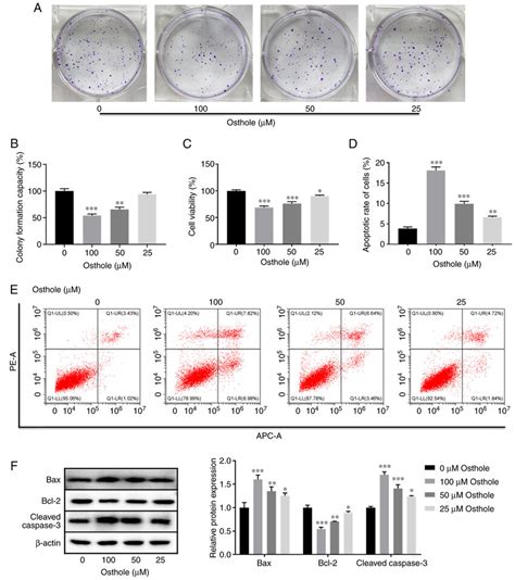 Osthole Inhibits Proliferation And Viability And Induces Apoptosis Of