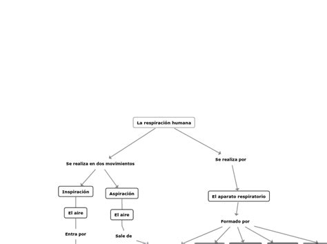 Respiraci N Humana Mind Map