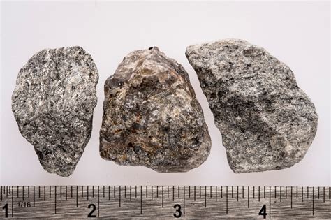 Biotite Schist