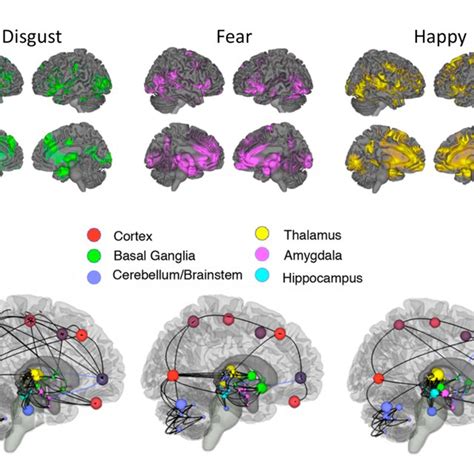 Neurocircuitry of basic emotions. (A) Lateral and medial views of the ...