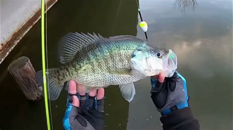 2 Hours Of Slab Crappie Fishing From The Bank🎣 Bank Crappie Fishing‼️