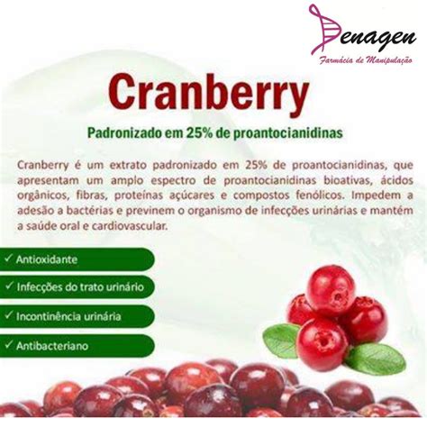 Cranberry é Uma Planta Nativa Da América Do Norte Que Apresenta Em Sua