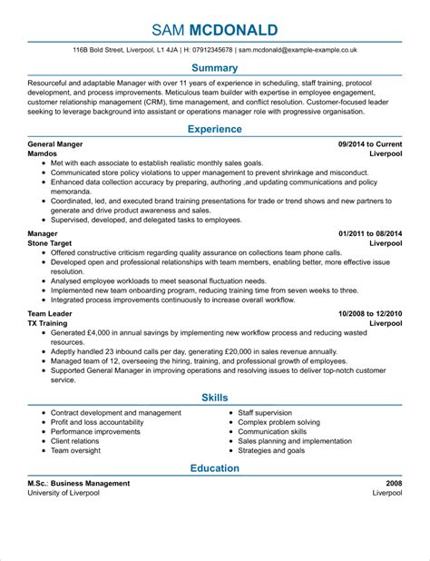 Business Analyst CV Template | CV Samples & Examples