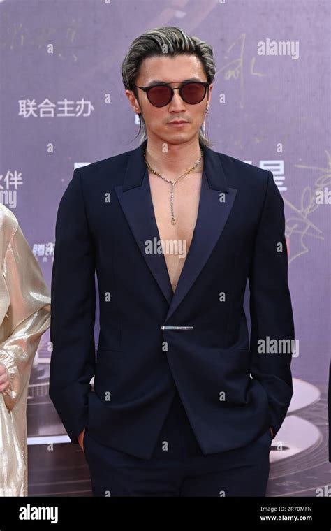 Hong Kong Actor Martial Artist Singer Songwriter Entrepreneur And