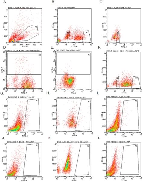 Single Cell Suspensions Were Made From Each Of Four Early Passage