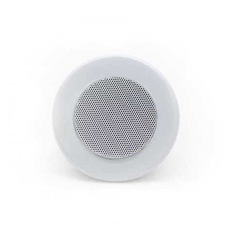 Потолочный динамик SKY SOUND TS-1010TW купить в интернет-магазине Sky Sound
