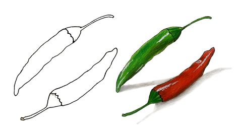 How To Draw Chilli Step By Step Very Easy YouTube