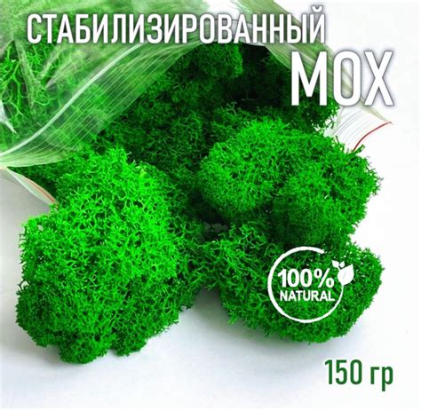 Стабилизированный мох Мох, 8 см, 150 гр купить по выгодной цене в ...