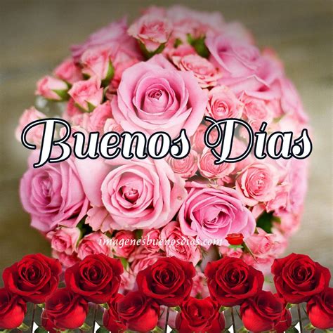 Im Genes Buenos D As Con Flores Good Morning Canning Rose Plants