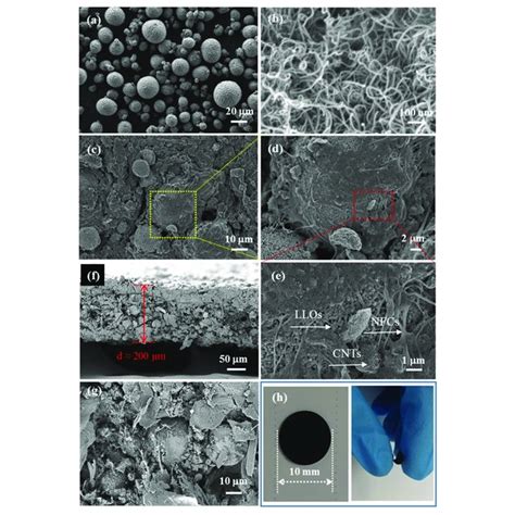 Ftir Spectra Of Pristine Regenerated Cellulose F Cntcellulose