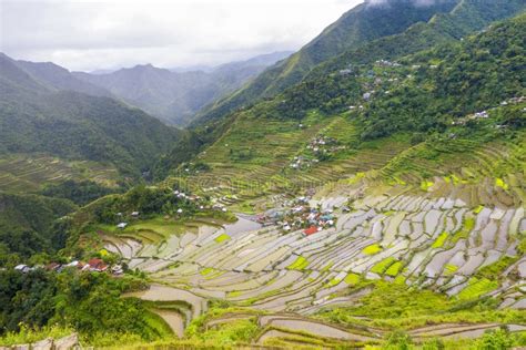 Batad Rice Terraces stock photo. Image of beauty, beautiful - 8709204