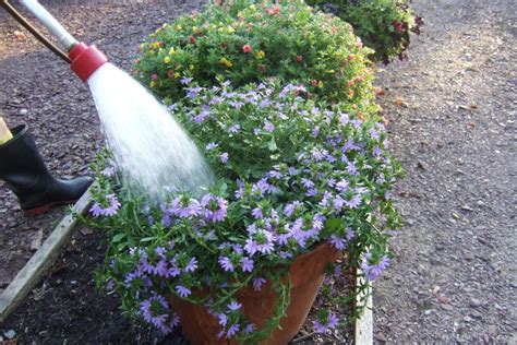 25 Ways To Conserve Water In Your Garden And Landscape HGTV