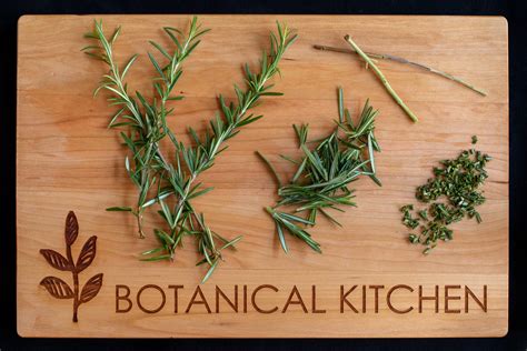 Rosemary Infused Raw Honey Herbal Medicinal Botanical Kitchen