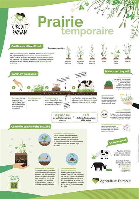 Panneaux Infographiste graphiste Stéphanie Wauters