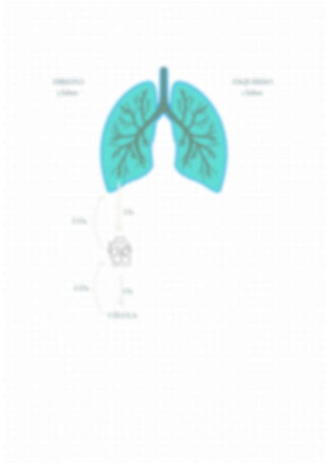 Solution Sistema Respirat Rio Studypool