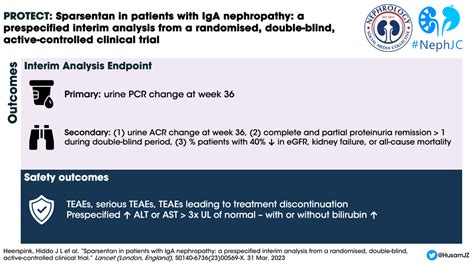 Sparsentan in IgA Nephropathy : The PROTECT trial — NephJC