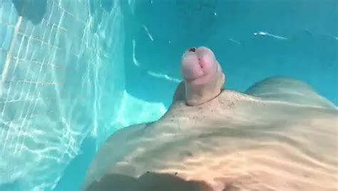 Free Hands Free Cumshot Gay Porn Videos XHamster