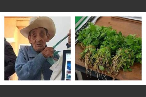 Anciano No Tiene Dinero Y Paga Con 3 Ramos De Cilantro